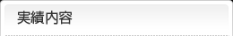 実績内容
